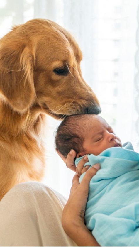 a woman holding a baby in her arms and a dog standing behind her looking at her