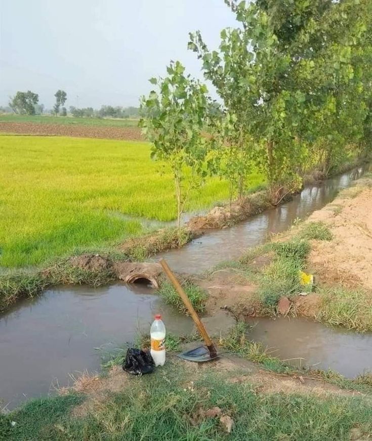 a small stream running through a lush green field next to a dirt and grass covered field