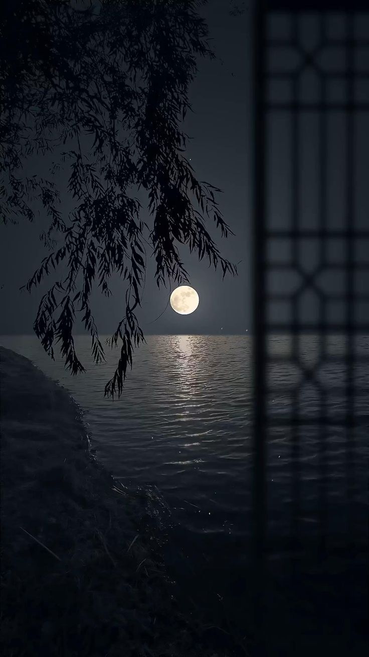 the moon is setting over the water and trees