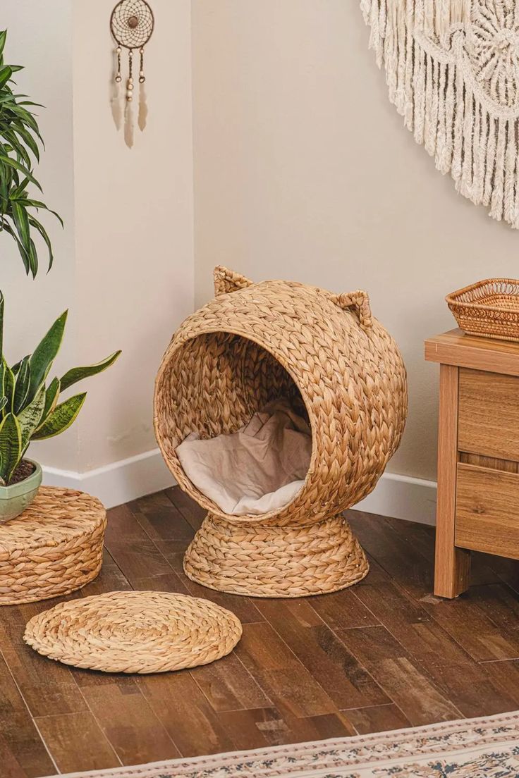 a cat bed in the corner of a room with potted plants on the floor