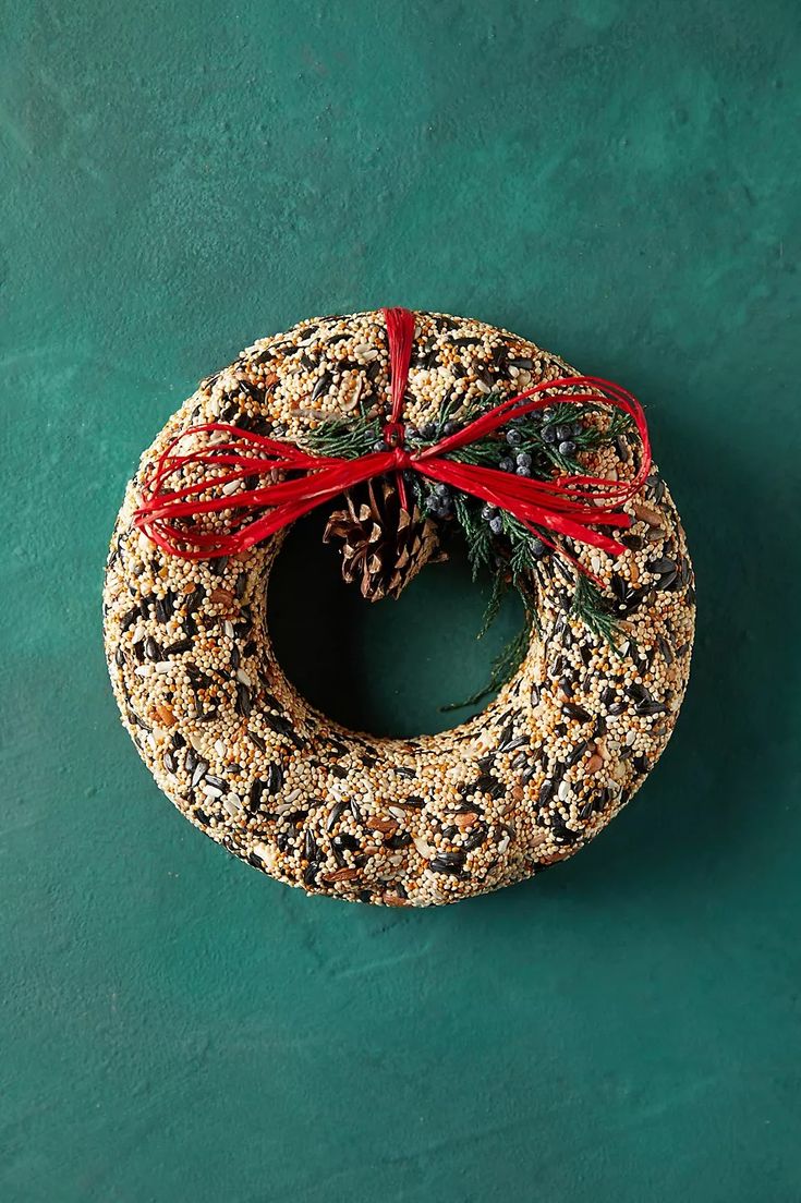 a bird seed wreath with a red ribbon tied around it on a green wall background