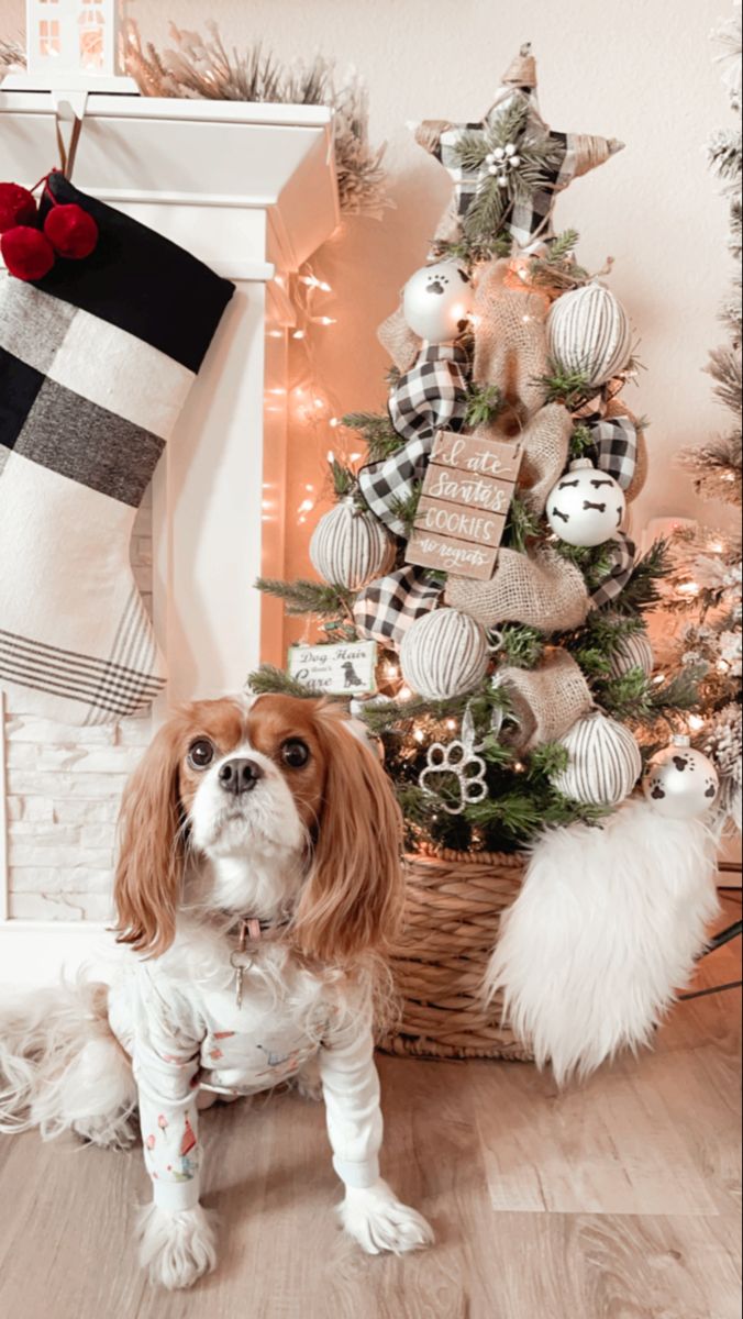 a dog sitting in front of a christmas tree