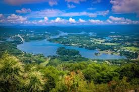 a lake surrounded by lush green trees under a blue sky with white clouds in the distance