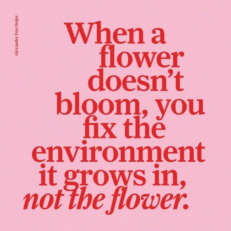 a pink poster with the words when a flower doesn't bloom, you fix the environment it grows in, not the flower