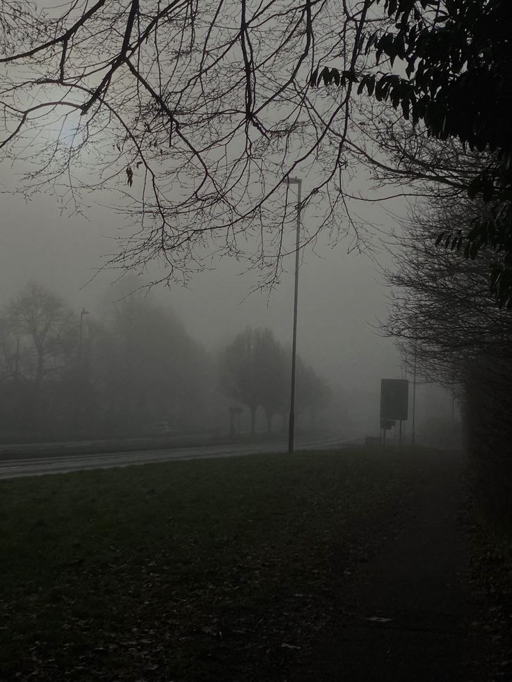 a foggy park with trees and street signs in the distance on a cold day