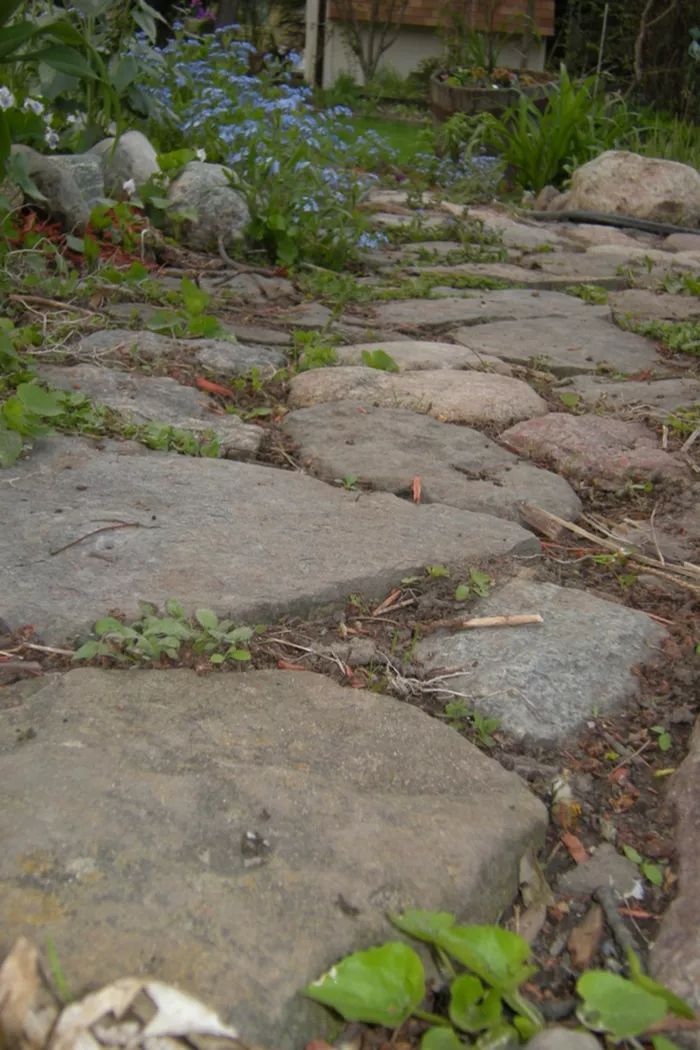 a teddy bear sitting on top of a stone walkway next to flowers and trees in the background