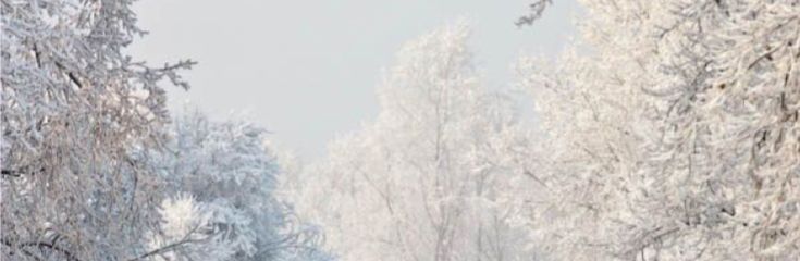 two people walking down a snow covered road