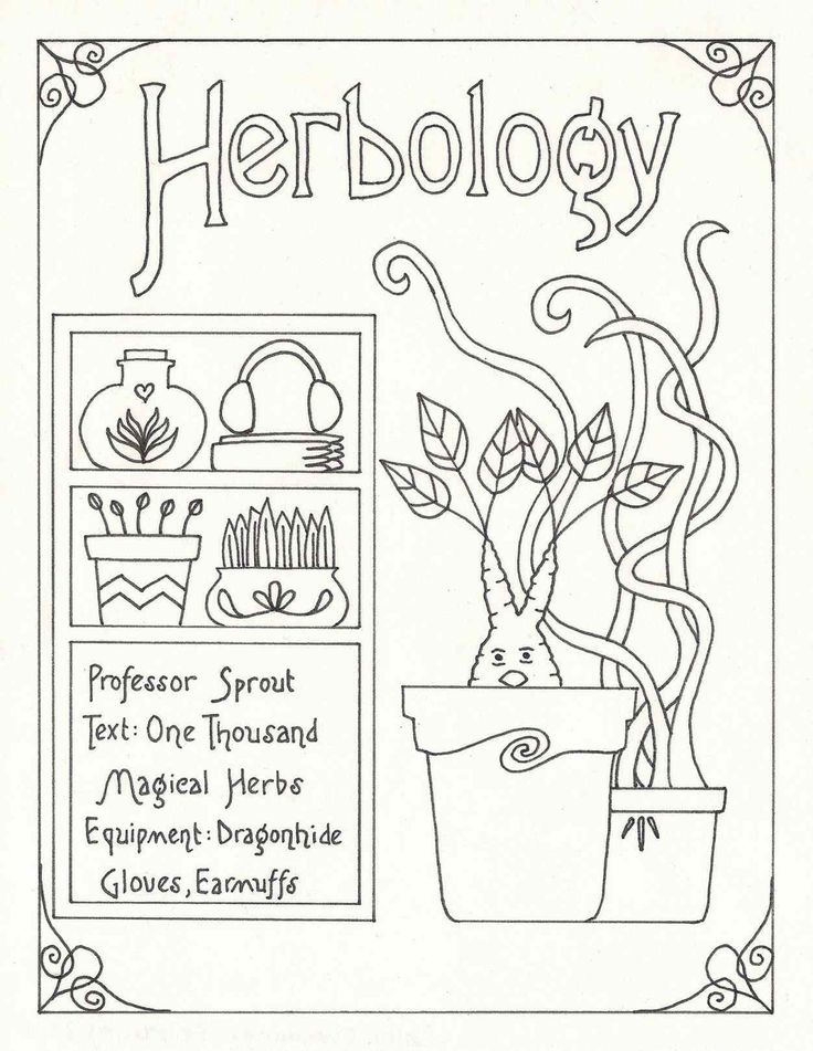 a black and white drawing of a potted plant with the words herbology on it