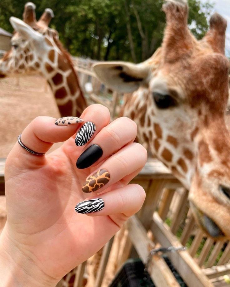 Nails Giraffe, Giraffe Nails, Safari Nails, Zebra Nail Designs, Leopard Nail Designs, Cheetah Nail Designs, Nagellack Trends, Zebra Nails, Cheetah Nails