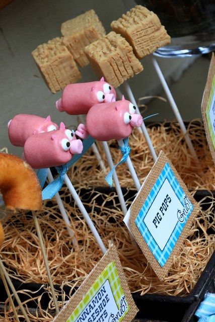 there are pigs on sticks in the hay with donuts and other treats behind them