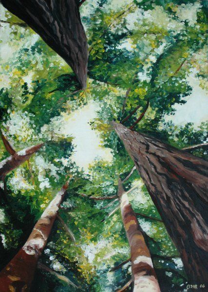 an oil painting of trees looking up at the sky