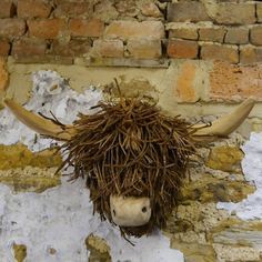 a bull's head hanging on the side of a brick wall