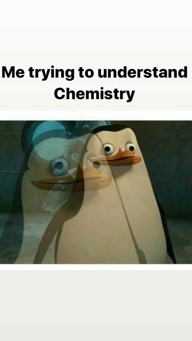 a penguin with the caption me trying to understand chemistry