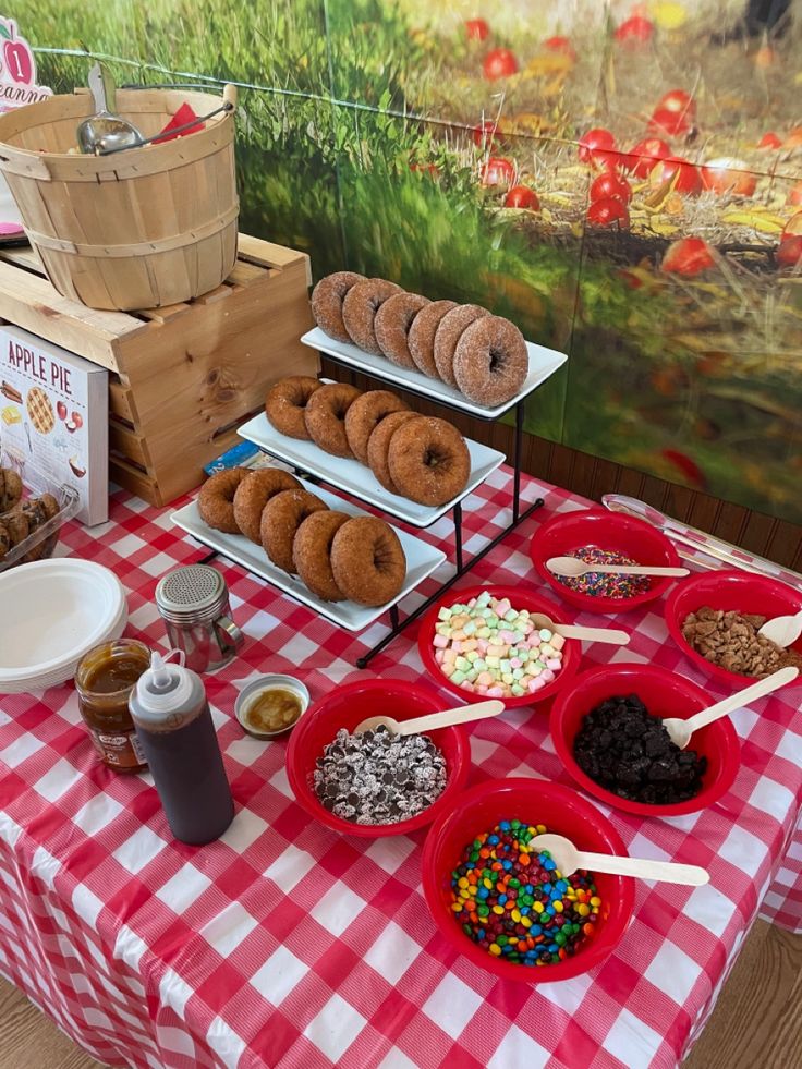 Red and white table cloth with donuts and toppings, fresh baked pie and a birthday cake Fall Donut Bar, Donut Dessert Table, Cocoa Stand, Apple Cider Bar, Fall Donuts, Hot Cocoa Stand, Party Food Bars, Bday Themes, Donut Display