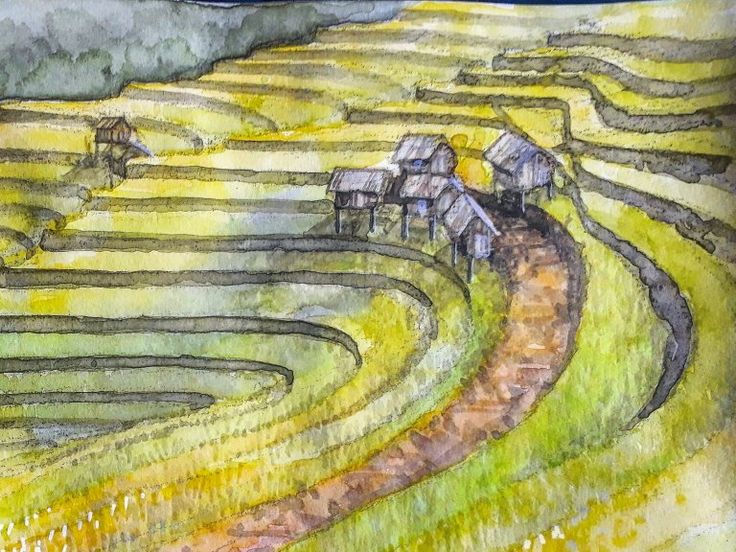 an artistic drawing of rice terraces in the philippines with houses on them and watercolors