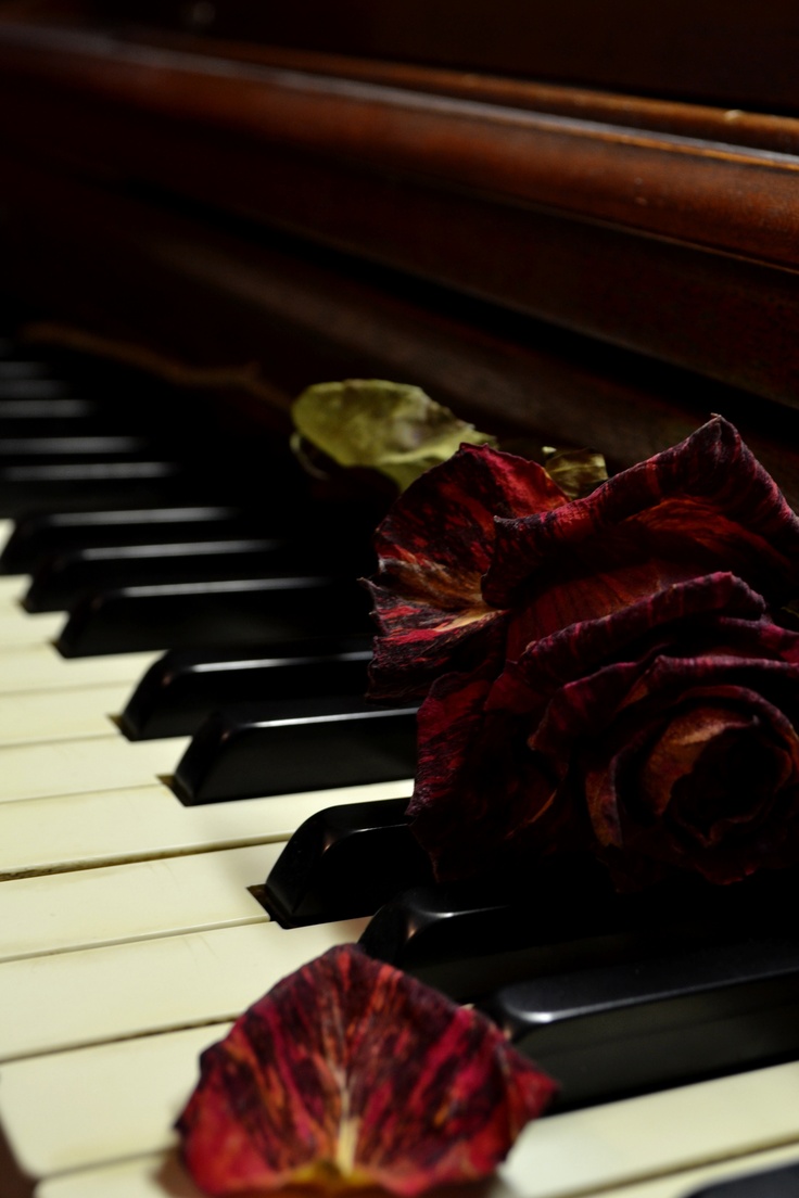 two red flowers sitting on top of a piano