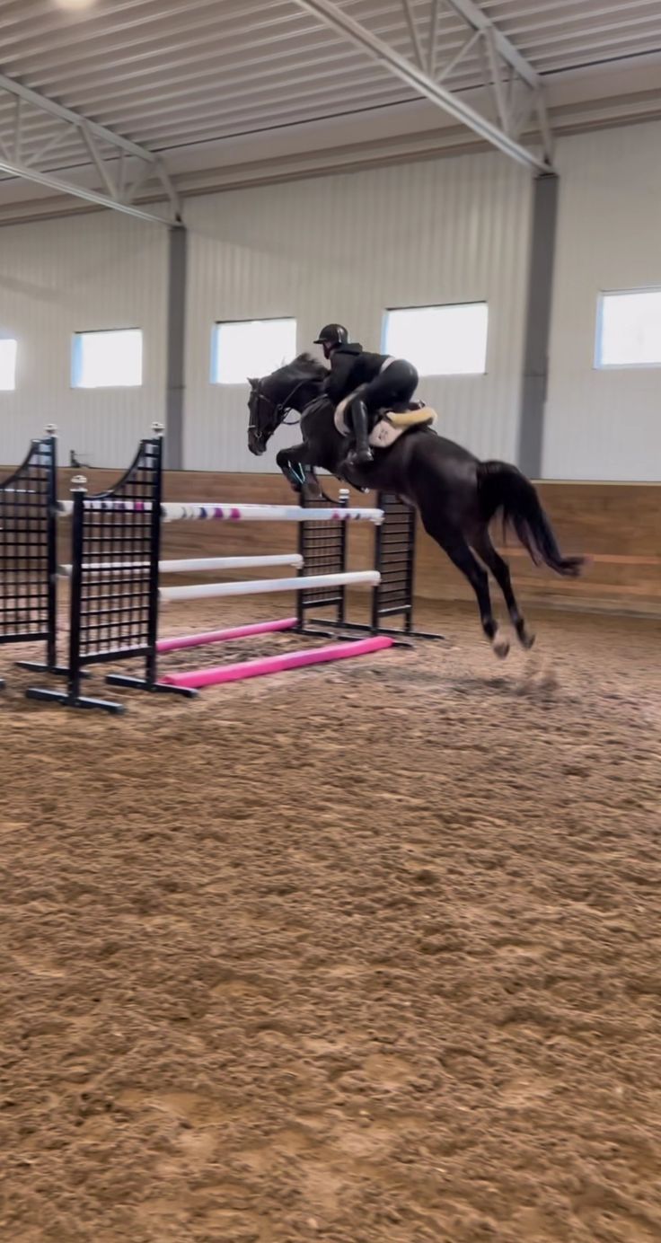 a person jumping a horse over an obstacle