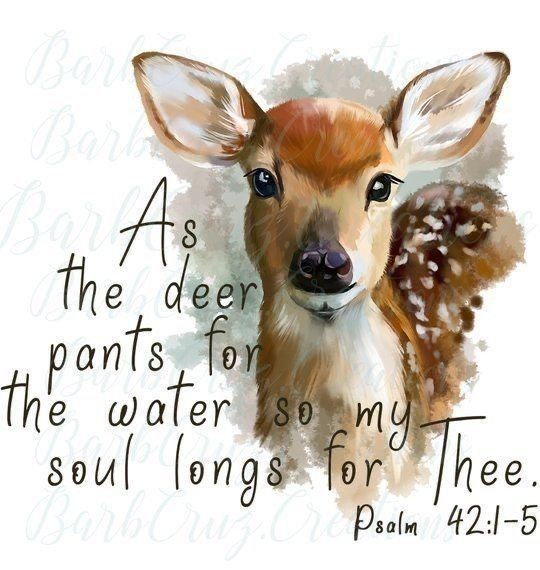 a deer with the words as the deer pants for the water so my soul sings for thee