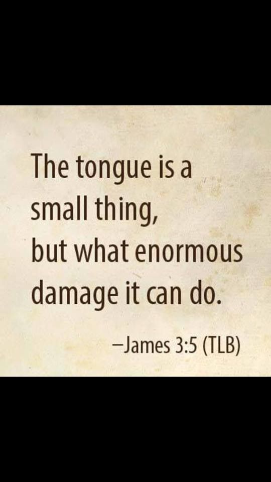 an image of a quote that reads the tongue is a small thing, but what enormous damage it can do