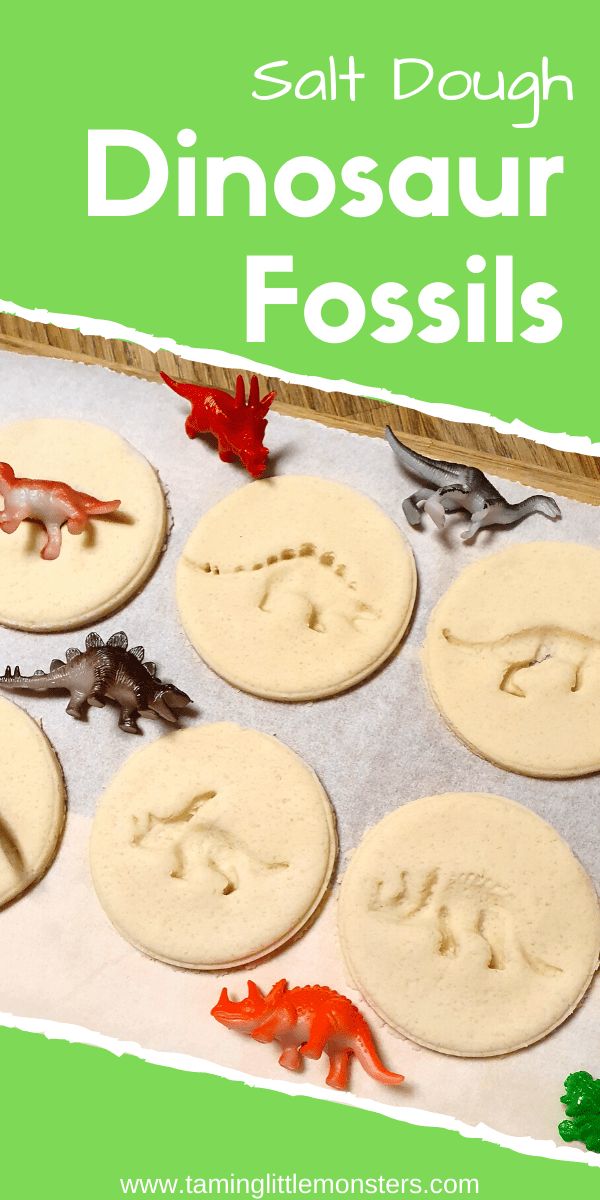 an image of dinosaur fossil play doughs on a tray with dinosaurs in the background