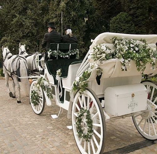 a white horse drawn carriage with flowers on it's back