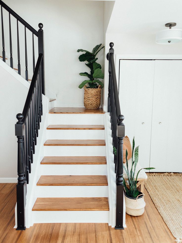 there is a potted plant sitting on the top of some stairs in this house