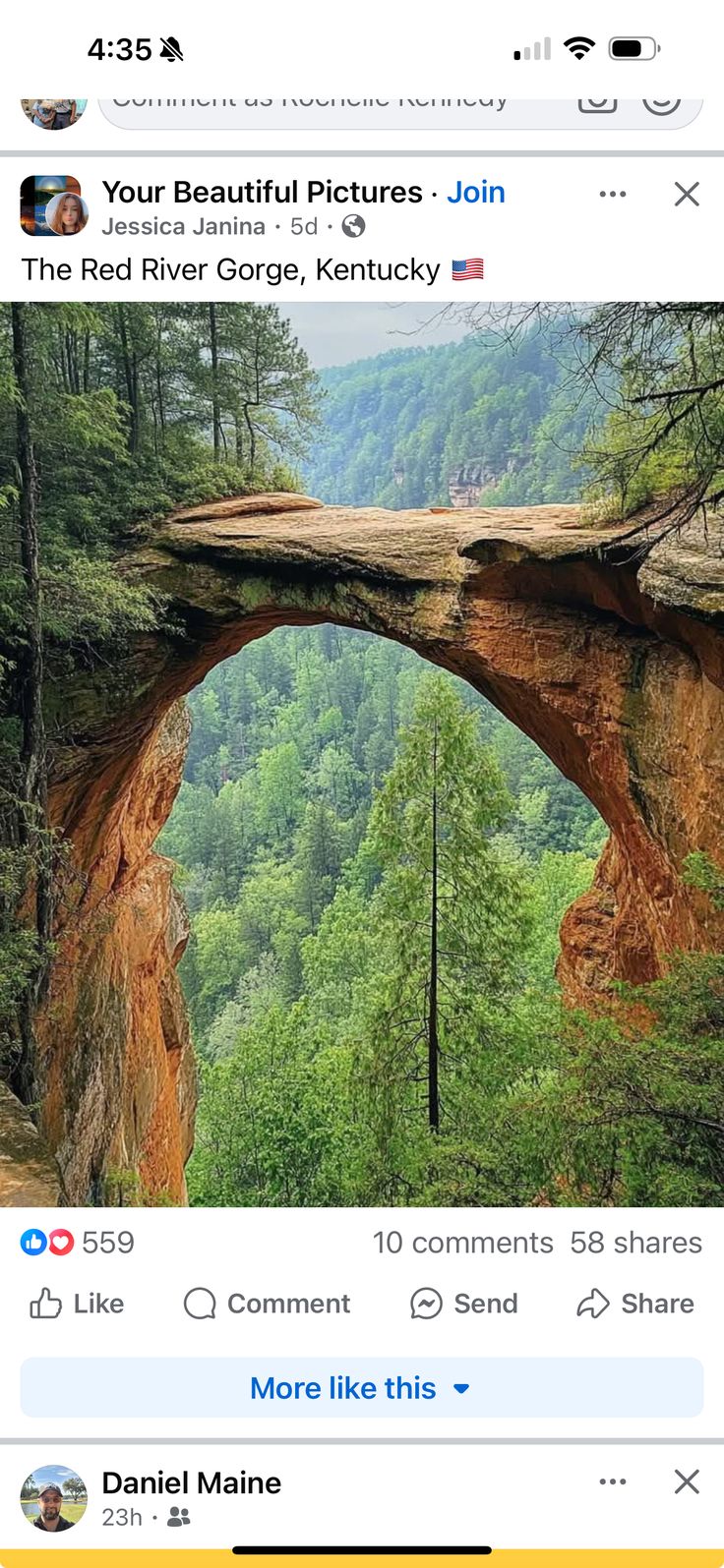 an image of a bridge in the middle of some trees