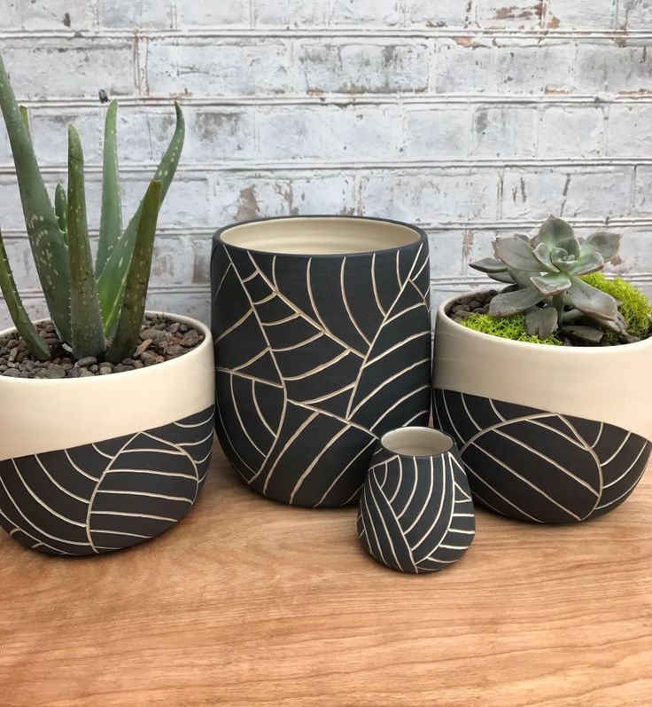 three potted plants sitting on top of a wooden table