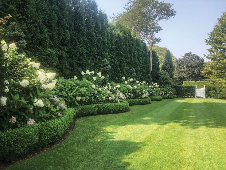 a lush green lawn surrounded by hedges and white flowers