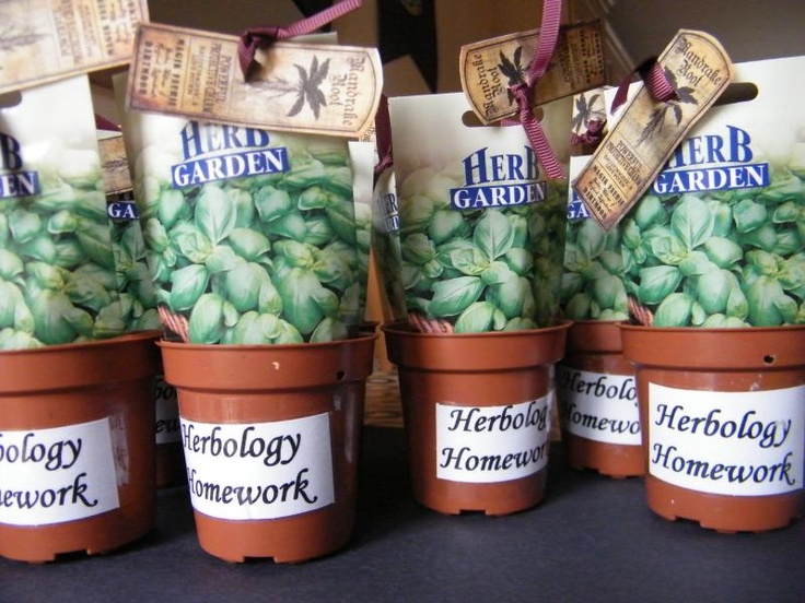 four potted plants with labels on them