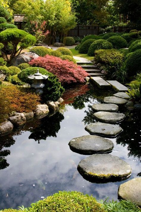 a garden with stepping stones in the water