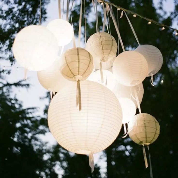 several white paper lanterns hanging from strings in front of trees