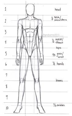 a drawing of the human body with measurements and description for each individual's body