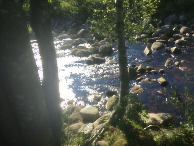 the sun shines on rocks and water in a stream that runs between two trees