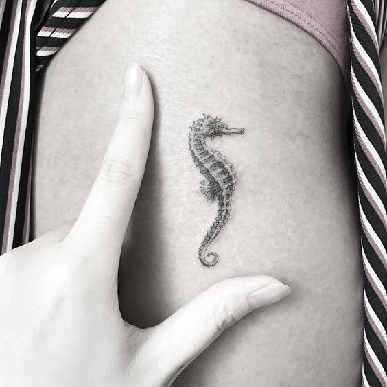 a woman's stomach with a seahorse tattoo on her left side ribcage