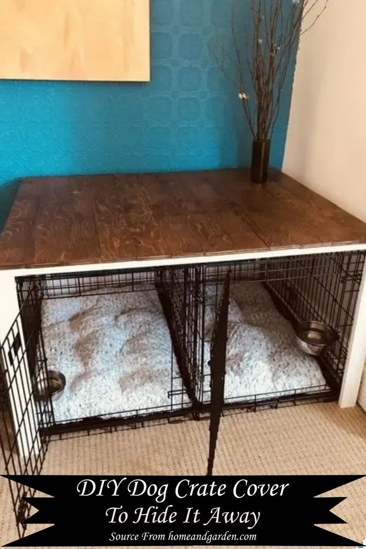 a dog crate with two dogs in it on the floor next to a blue wall