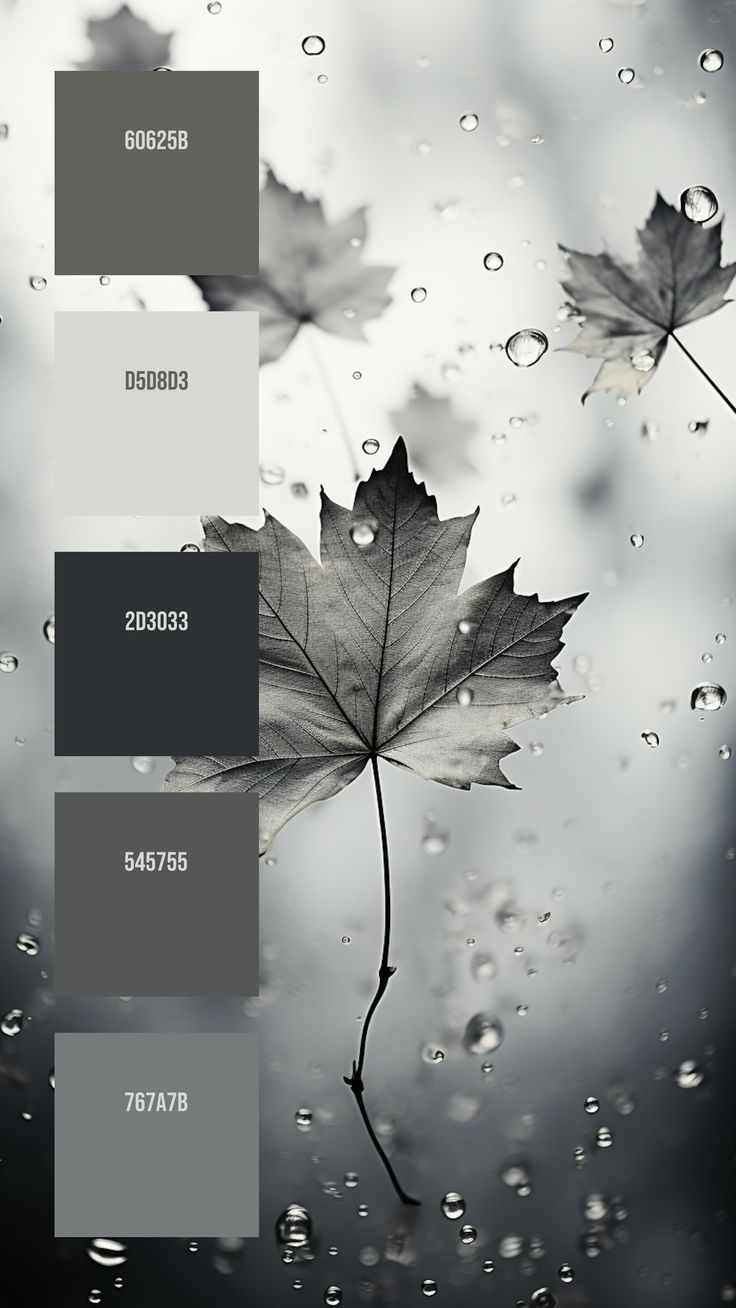 Colors:
60625B
D5D8D3
2D3033
545755
767A7B Grey Color Palette Colour Schemes, Rainy Day Color Palette, Color Palette Industrial, Color Palettes With Black, Gray Swatches, Grey Color Pallets, Monochrome Color Scheme, Black And White Color Palette, Black Moodboard