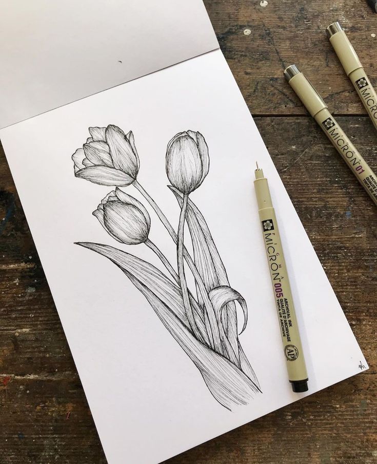 two pencils are next to a drawing of tulips