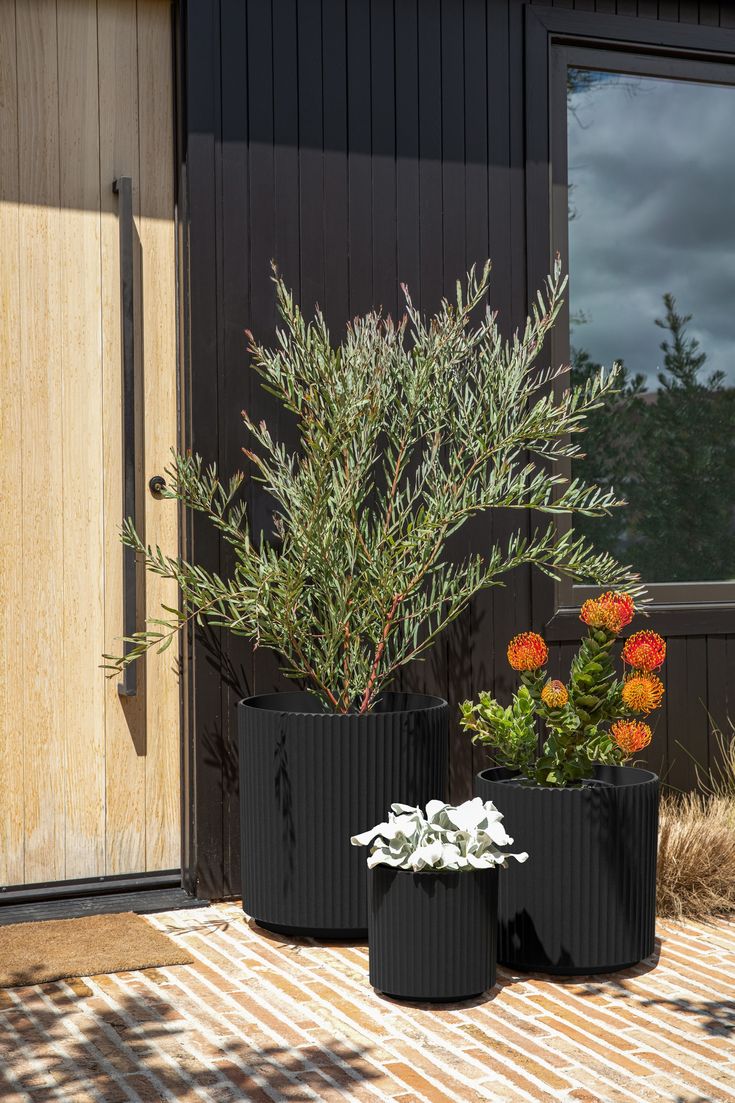 two black planters with orange and white flowers in them