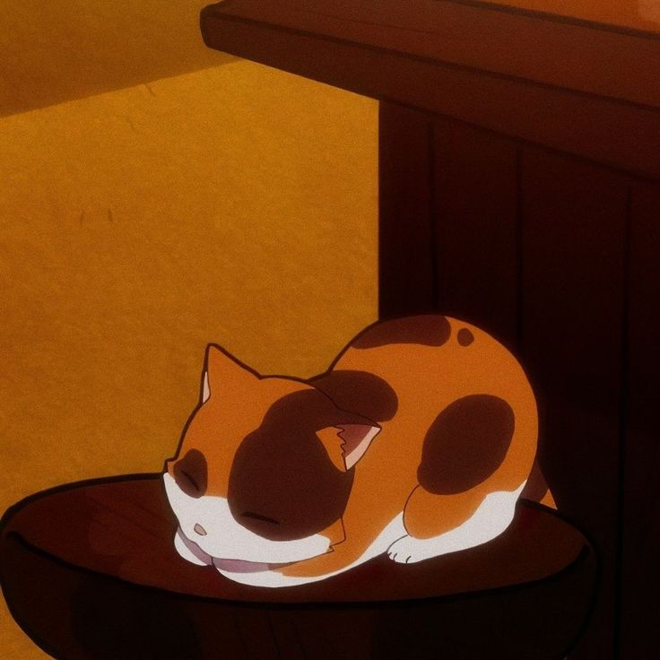 an orange and white cat laying on top of a wooden table