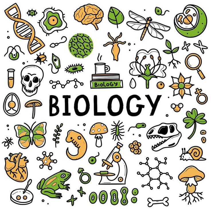 the word biology surrounded by doodles and images of plants, animals, and insects