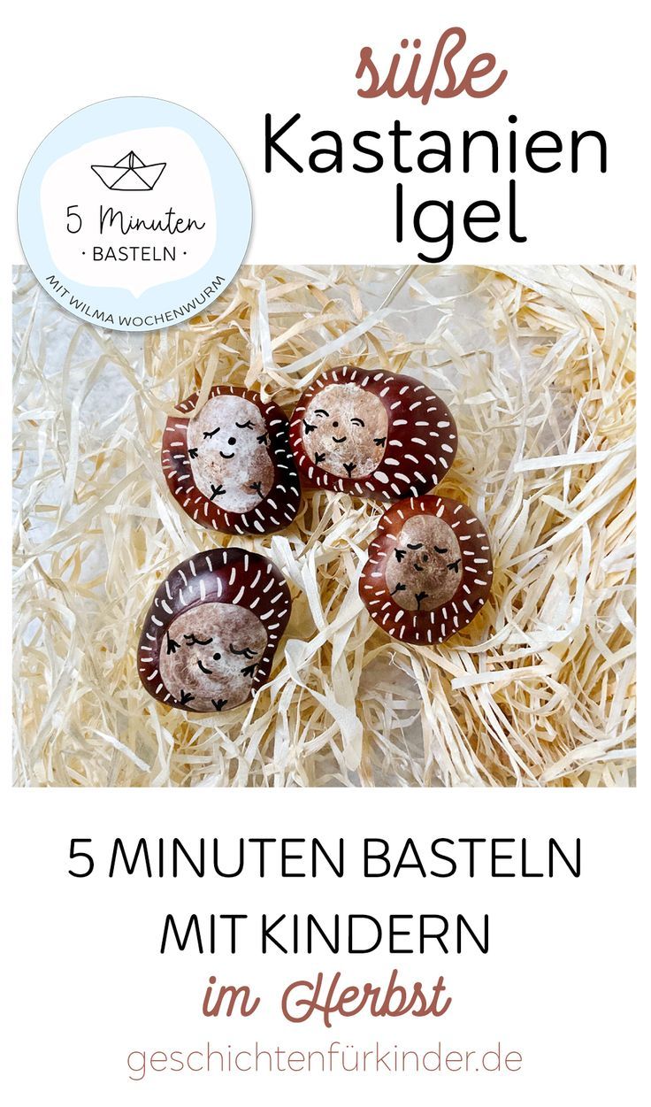 the cover of 5 minuten basten gele with four different animals on it