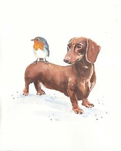 a watercolor painting of a dachshund and a bird