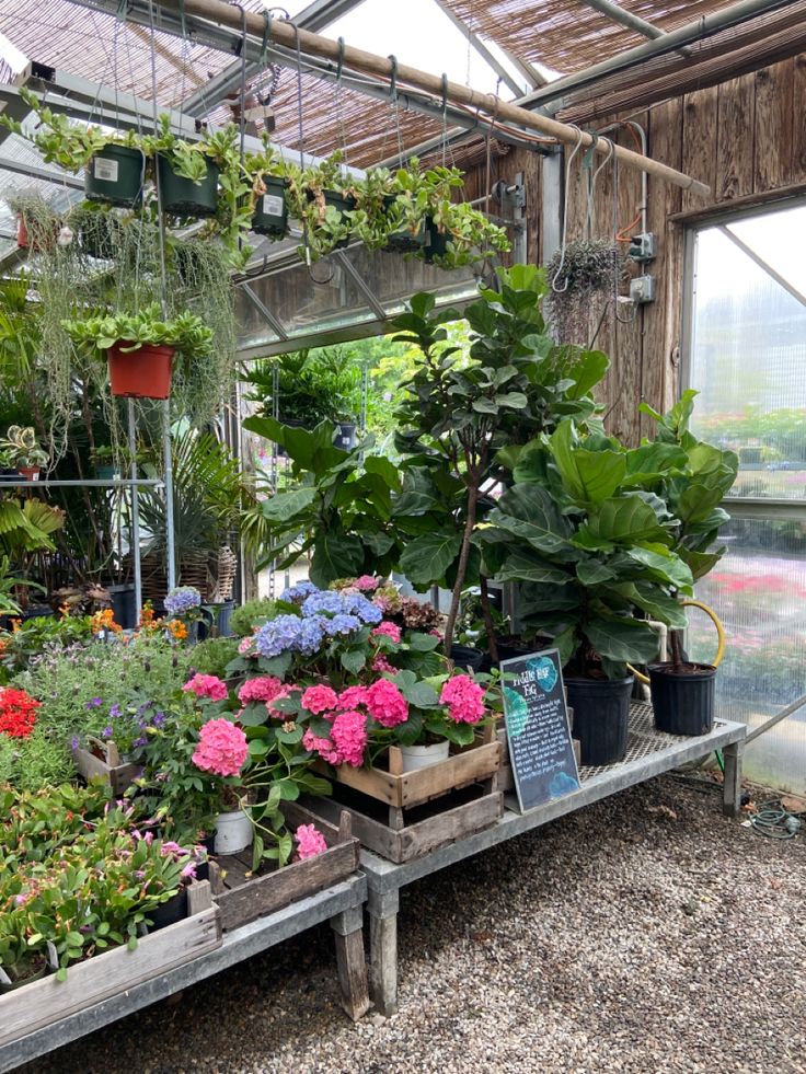 a greenhouse filled with lots of plants and flowers