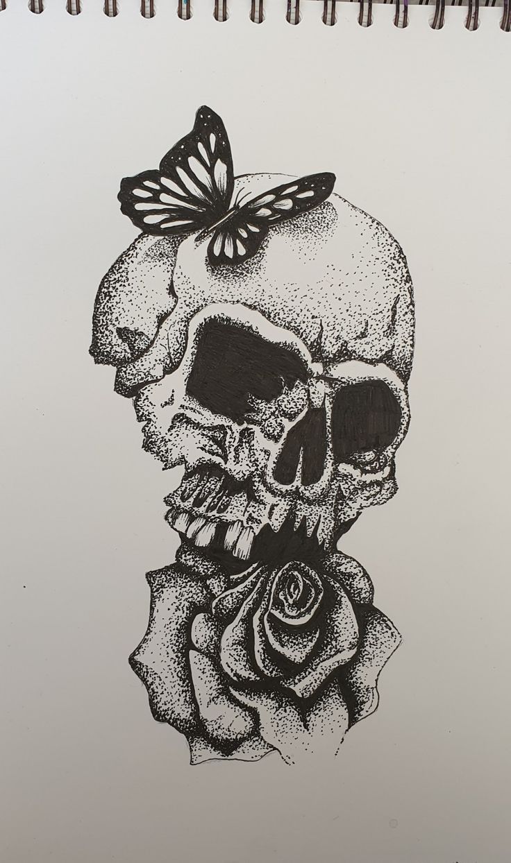 a drawing of a skull with a butterfly on it's head and a rose in its mouth