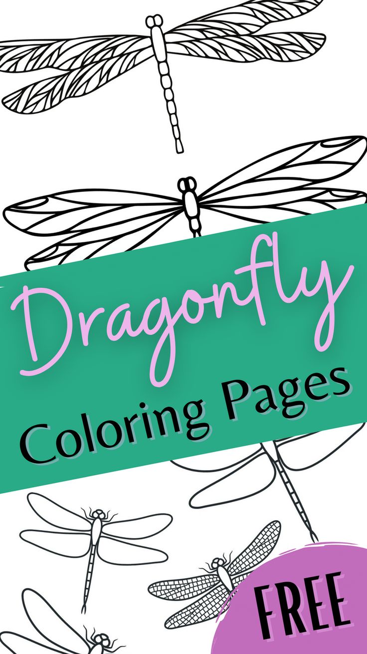 dragonfly coloring pages with free printables for kids to color and learn how to draw