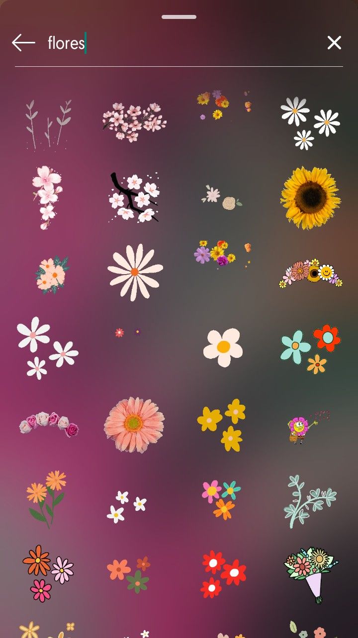 an iphone screen with flowers on it and the text, flower stickers are shown