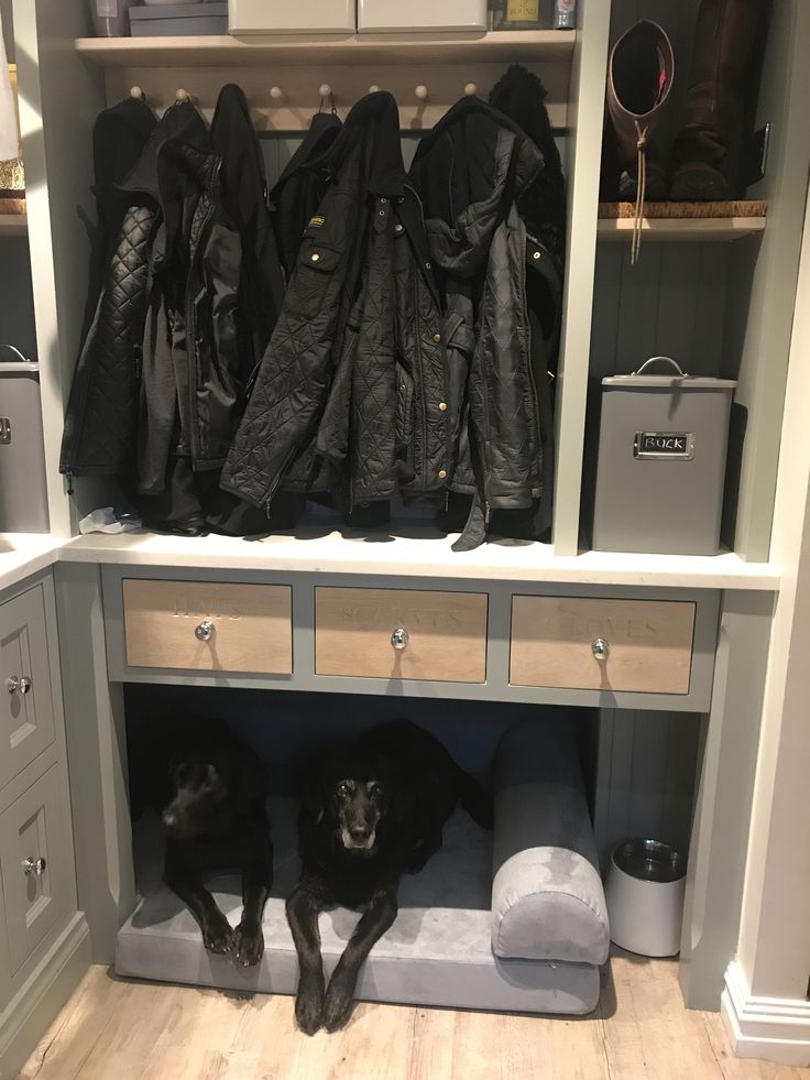 two black dogs laying on top of a wooden shelf in a closet filled with coats