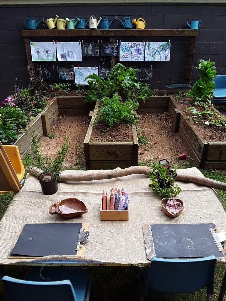 an outdoor garden with various plants and books on the table