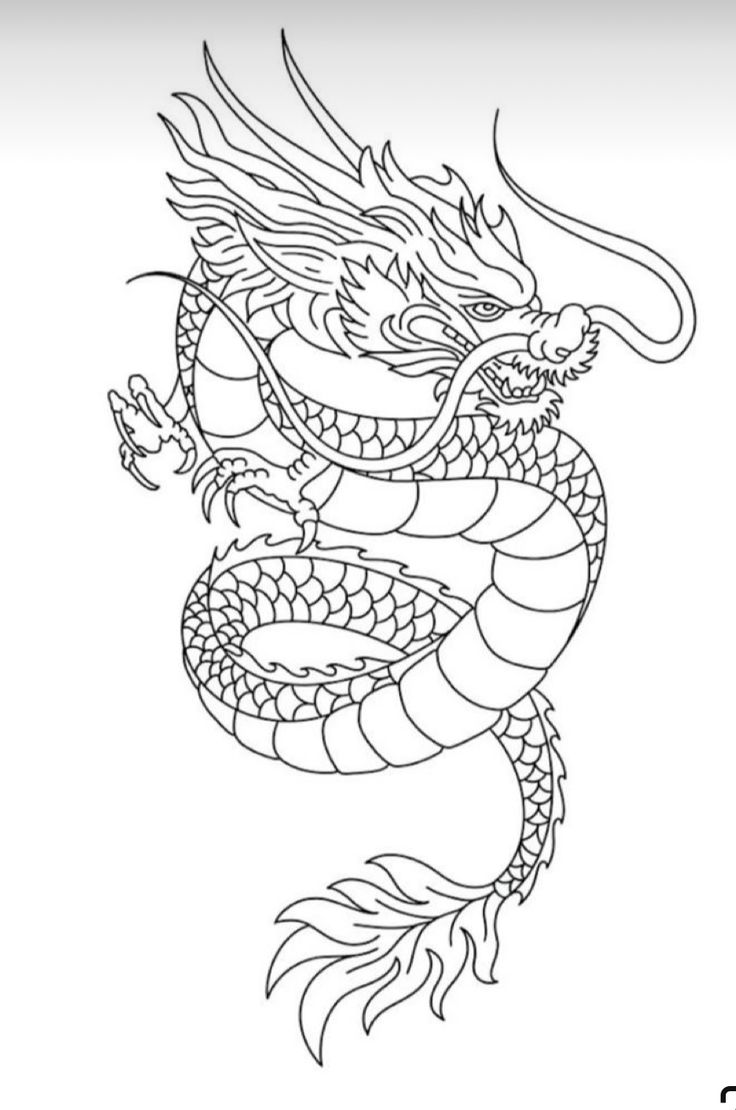 a black and white drawing of a dragon with its tail curled up in the air